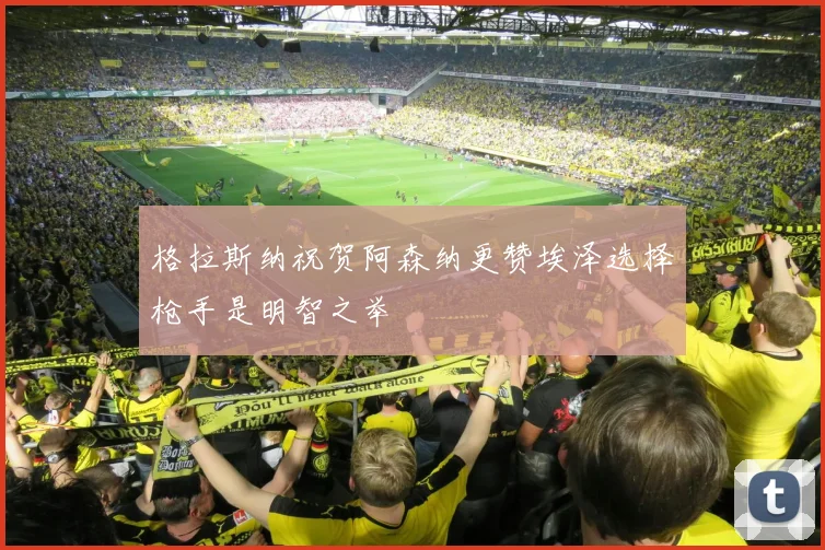 格拉斯纳祝贺阿森纳更赞埃泽选择枪手是明智之举